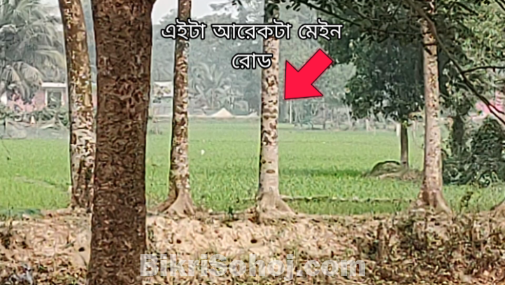 ৬ শতক জমি বিক্রি হবে লাকসাম বাইপাস